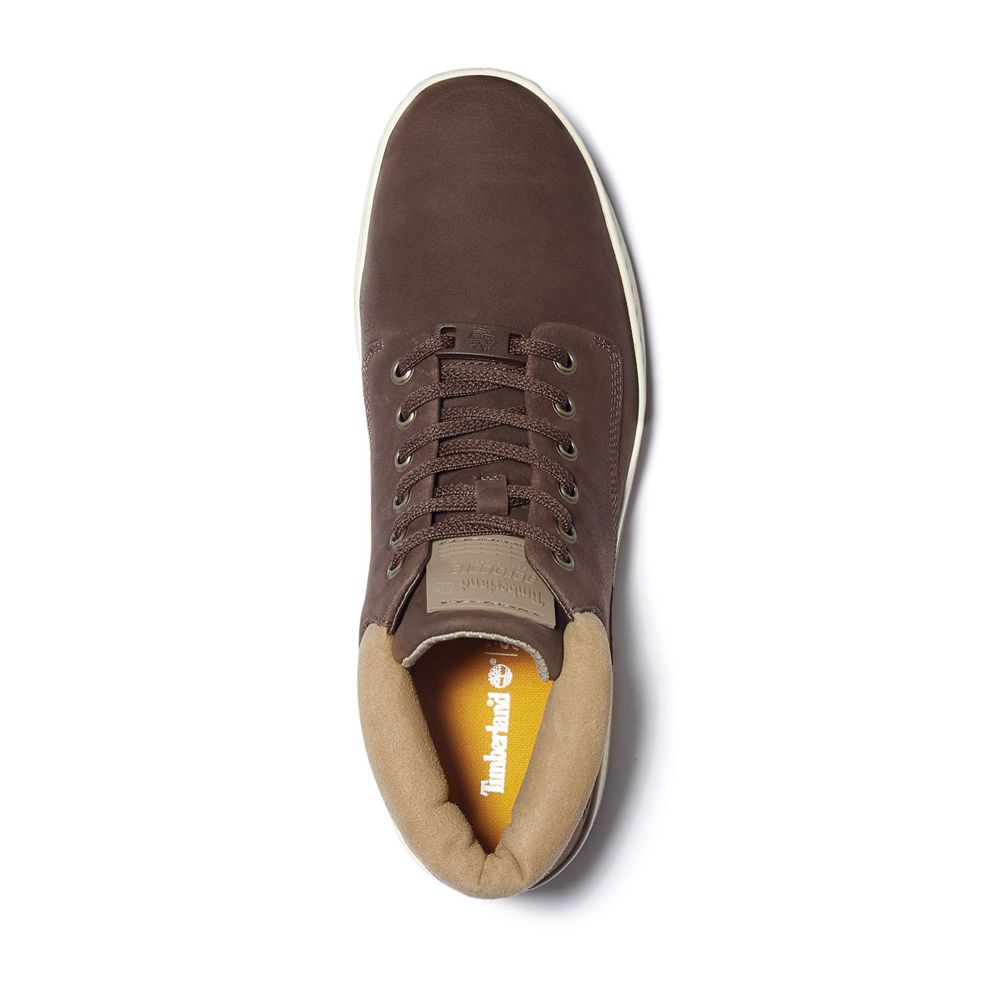 Bocanci Chukka Timberland Barbati Maro Inchis - Cityroam™ Cupsole Piele - Romania - XQEWIK789